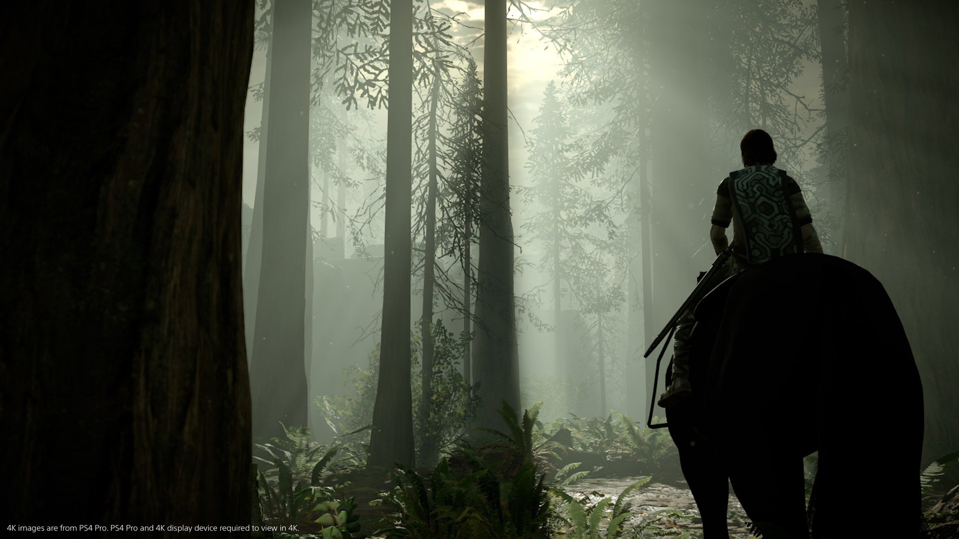 Shadow of the Colossus Remaster
